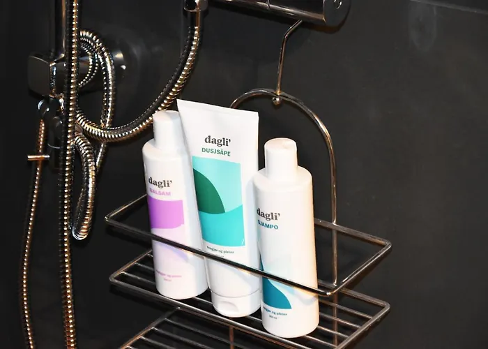 With A View Close To The Pulpit Rock *